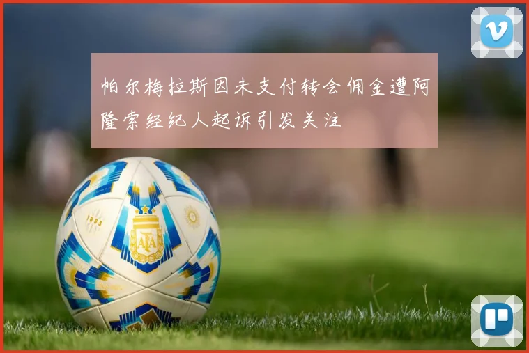 帕尔梅拉斯因未支付转会佣金遭阿隆索经纪人起诉引发关注