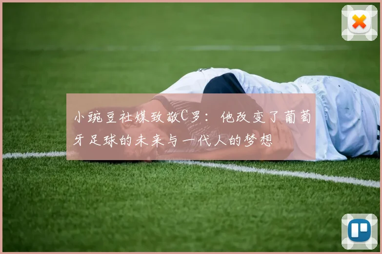 小豌豆社媒致敬C罗：他改变了葡萄牙足球的未来与一代人的梦想